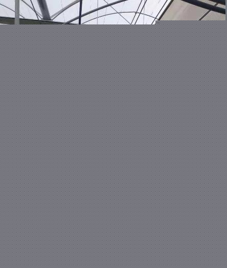 怎樣設計參數才能讓溫室大棚不怕大雪大風呢